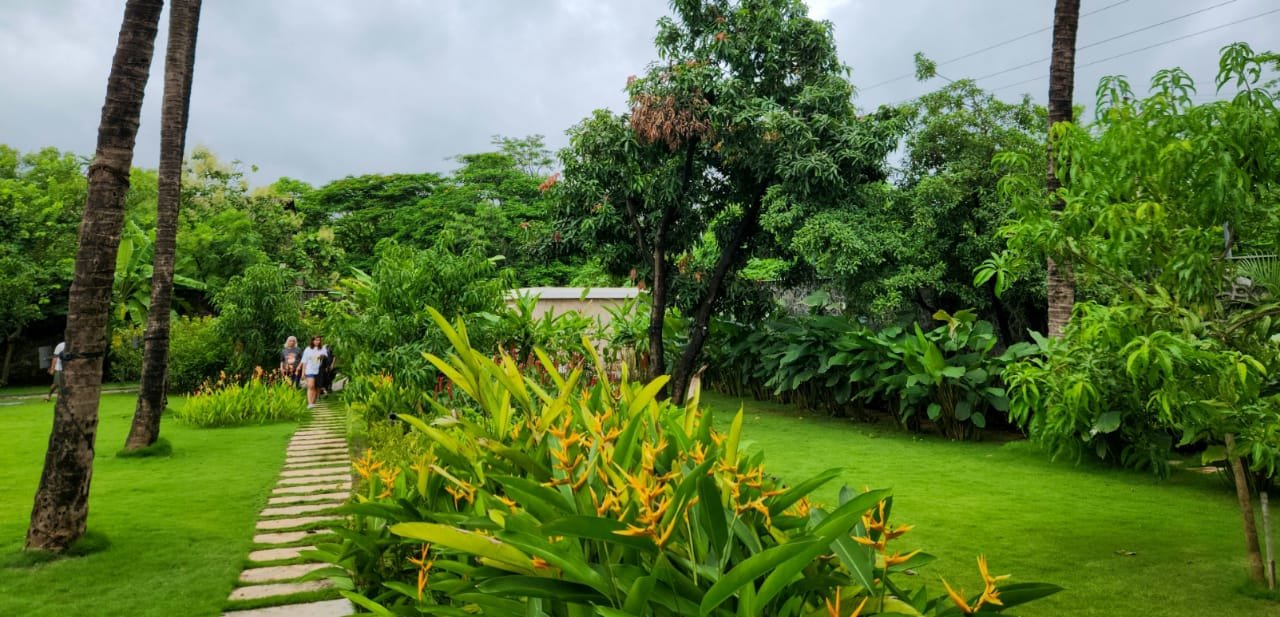 Garden